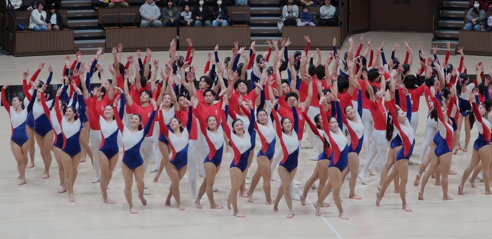日本体育大学 体操部