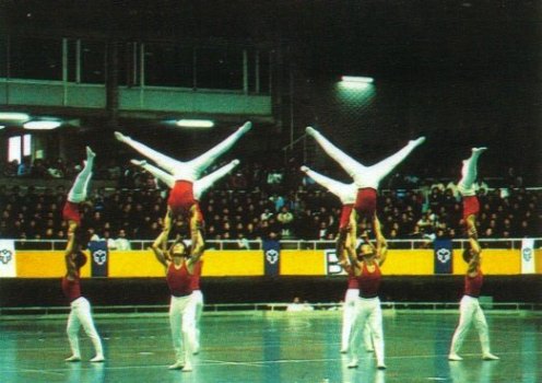 1981-2
